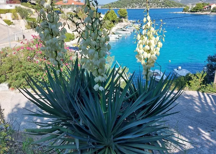 Speranda Apartamento Ražanj