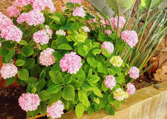 Apartamento Speranda Ražanj